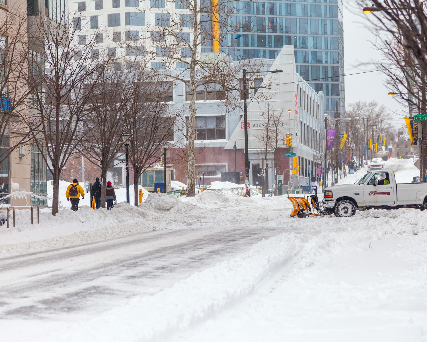 cars on road near bare trees during daytime